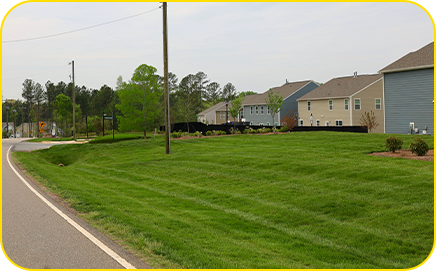 Common-area landscaping