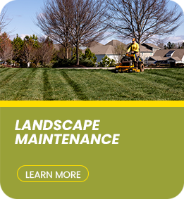 LANDSCAPE MAINTENACE_ 2