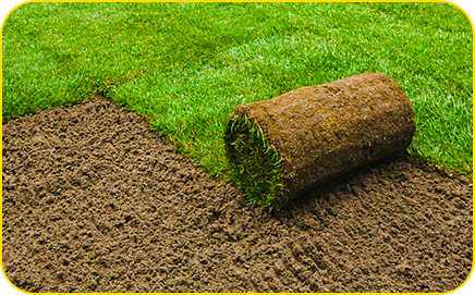 Sod installation and turf establishment