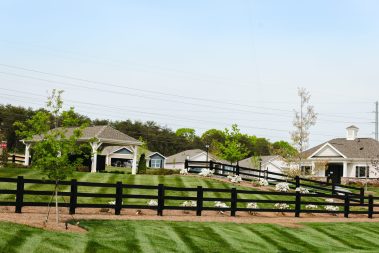 landscaping Charlotte