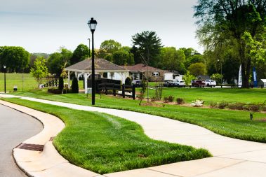 landscaping Charlotte