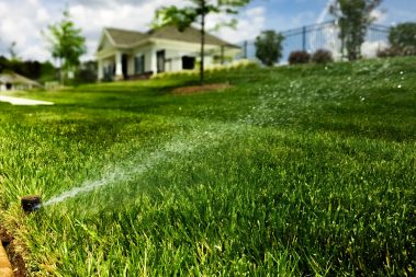landscaping Charlotte