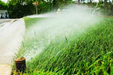 landscaping Charlotte