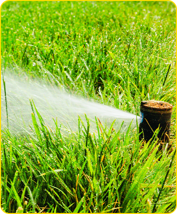 Irrigation System Upgrades & Diagnostics