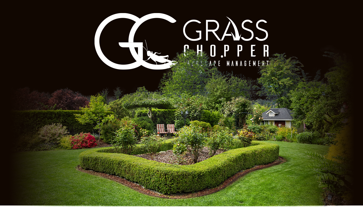 Shrub & Hedge Management Shrub & Hedge Management