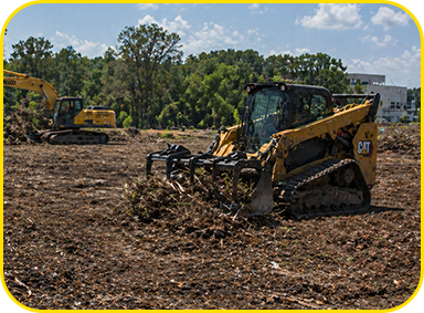 Professional Land Clearing Services MOBILe